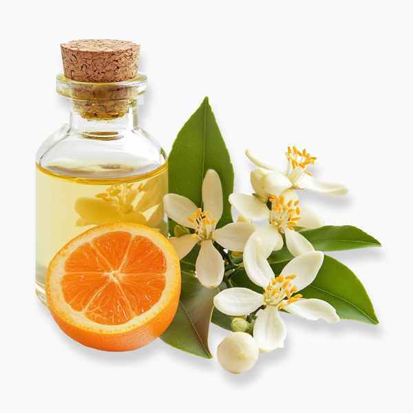 Citrus Aurantium Amara Flower Oil (Neroli / Orange Blossom Oil)