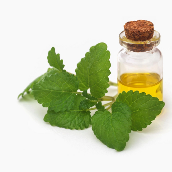Pogostemon Cablin Leaf Oil (Patchouli Oil)