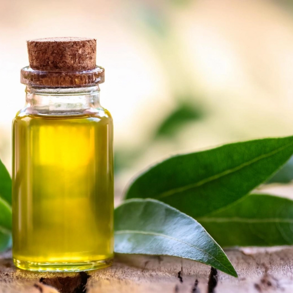 Melaleuca Alternifolia Leaf Oil (Tea Tree Oil)
