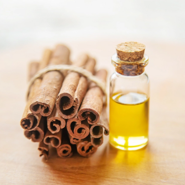 Cinnamomum Zeylanicum Bark Oil (Cinnamon Oil)