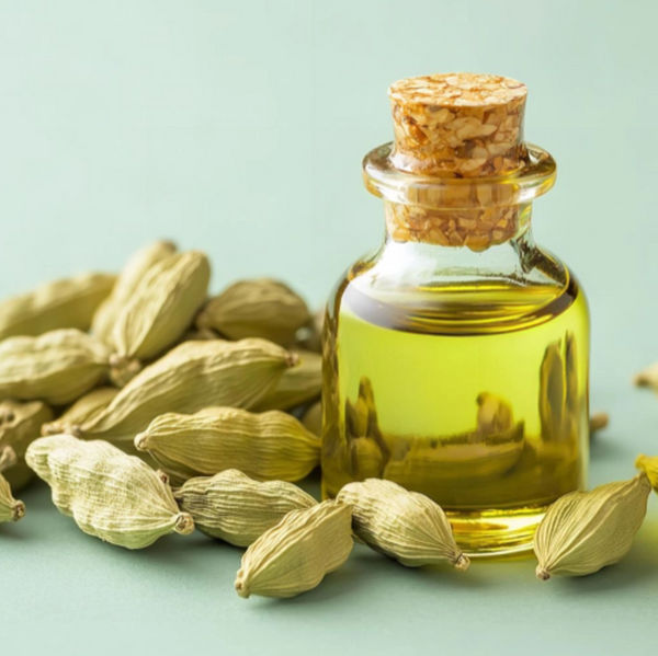 Elettaria Cardamomum Seed Oil (Cardamom Oil)