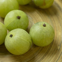 Amla / Indian Gooseberry (Emblica officinalis)