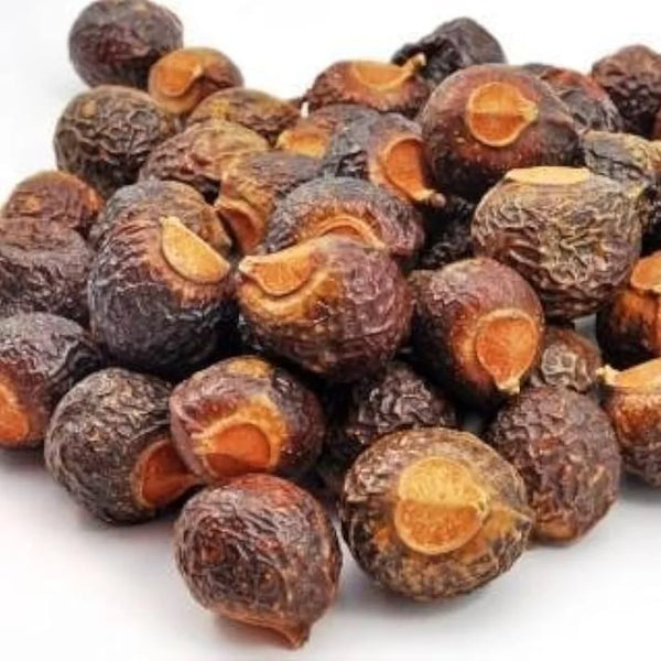 Sapindus Mukorossi Fruit Extract (Soapnut)