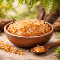 Babul / Indian Gum Arabic Tree (Acacia nilotica)