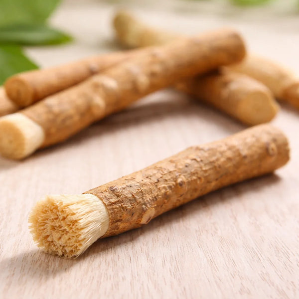 Salvadora Persica Stem Extract (Miswak)
