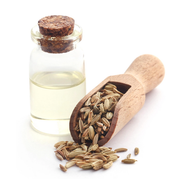 Foeniculum Vulgare Oil (Fennel Oil)