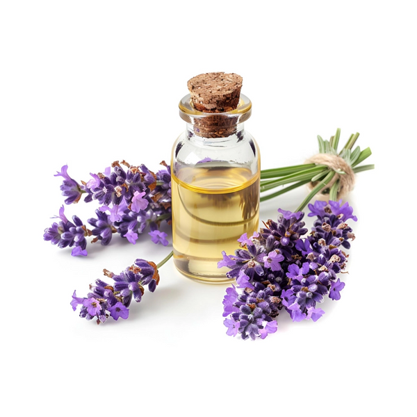 Lavandula Angustifolia Oil (Lavender Oil)