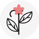 100% Vegan Plant-based