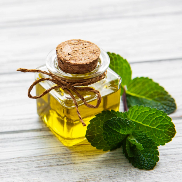 Mentha Piperita Leaf Oil (Peppermint Oil)