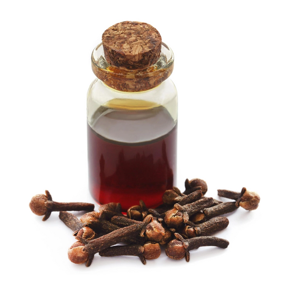 Eugenia Caryophyllus Bud Oil (Clove Oil)