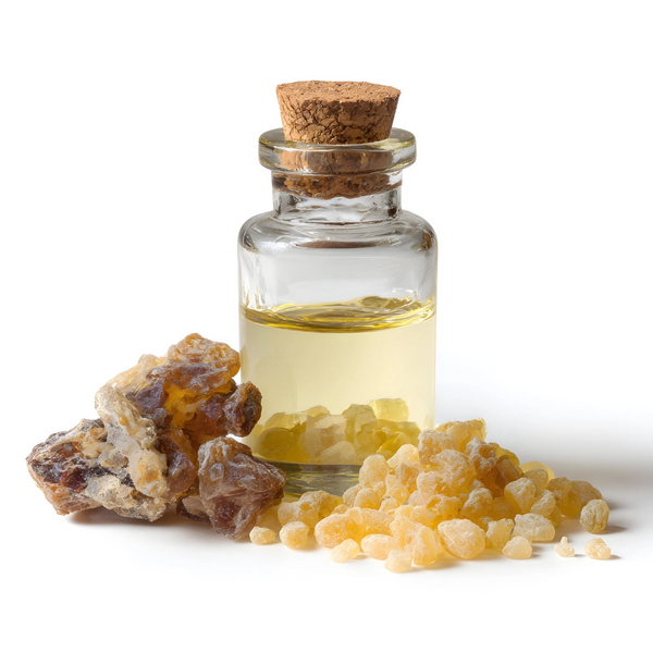 Boswellia Carterii Oil (Frankincense Oil)